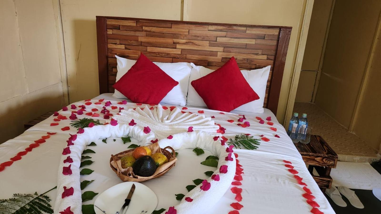 Little Amanya Camp Hotel อัมโบเซลี ภายนอก รูปภาพ